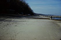 View north along the beach